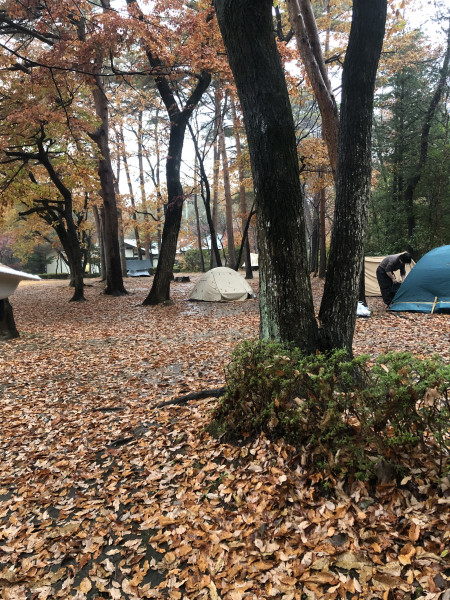 キャンプ場画像