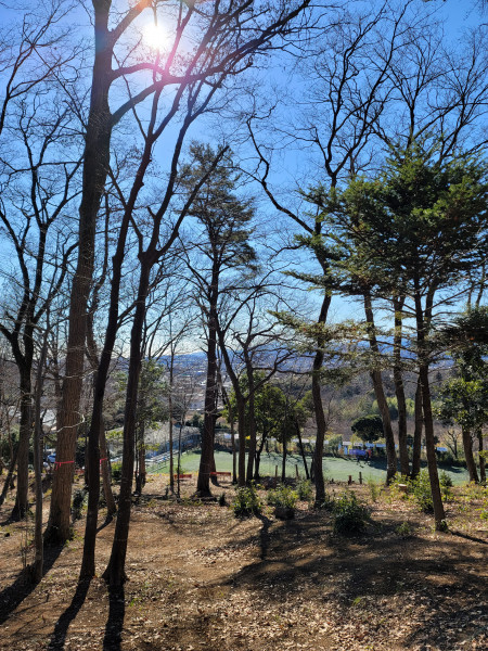 キャンプ場画像