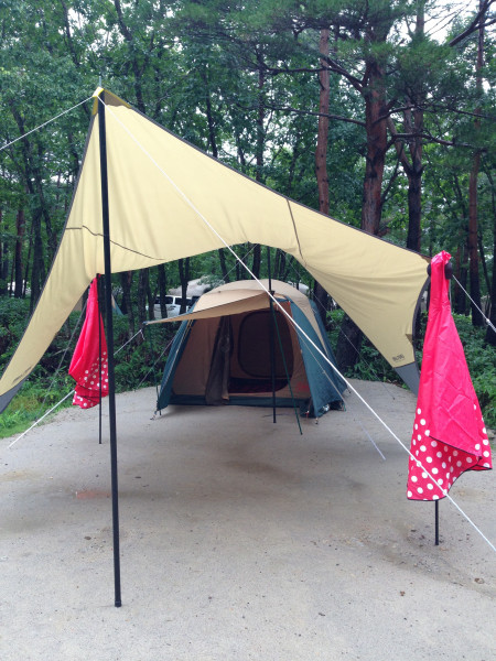 キャンプ場画像