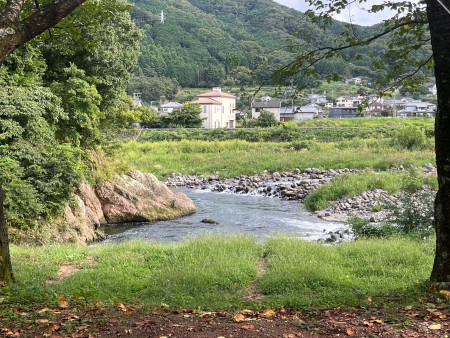 画像