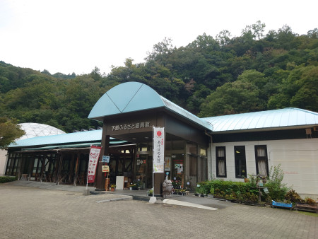 キャンプ場画像