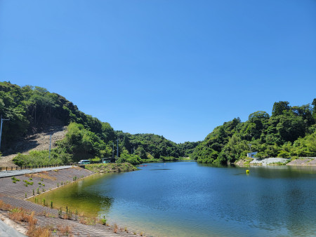 キャンプ場画像