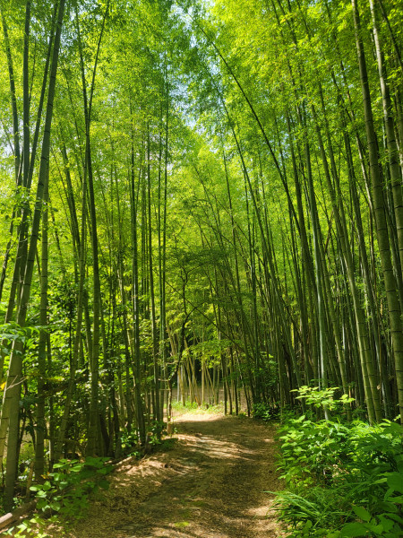 キャンプ場画像