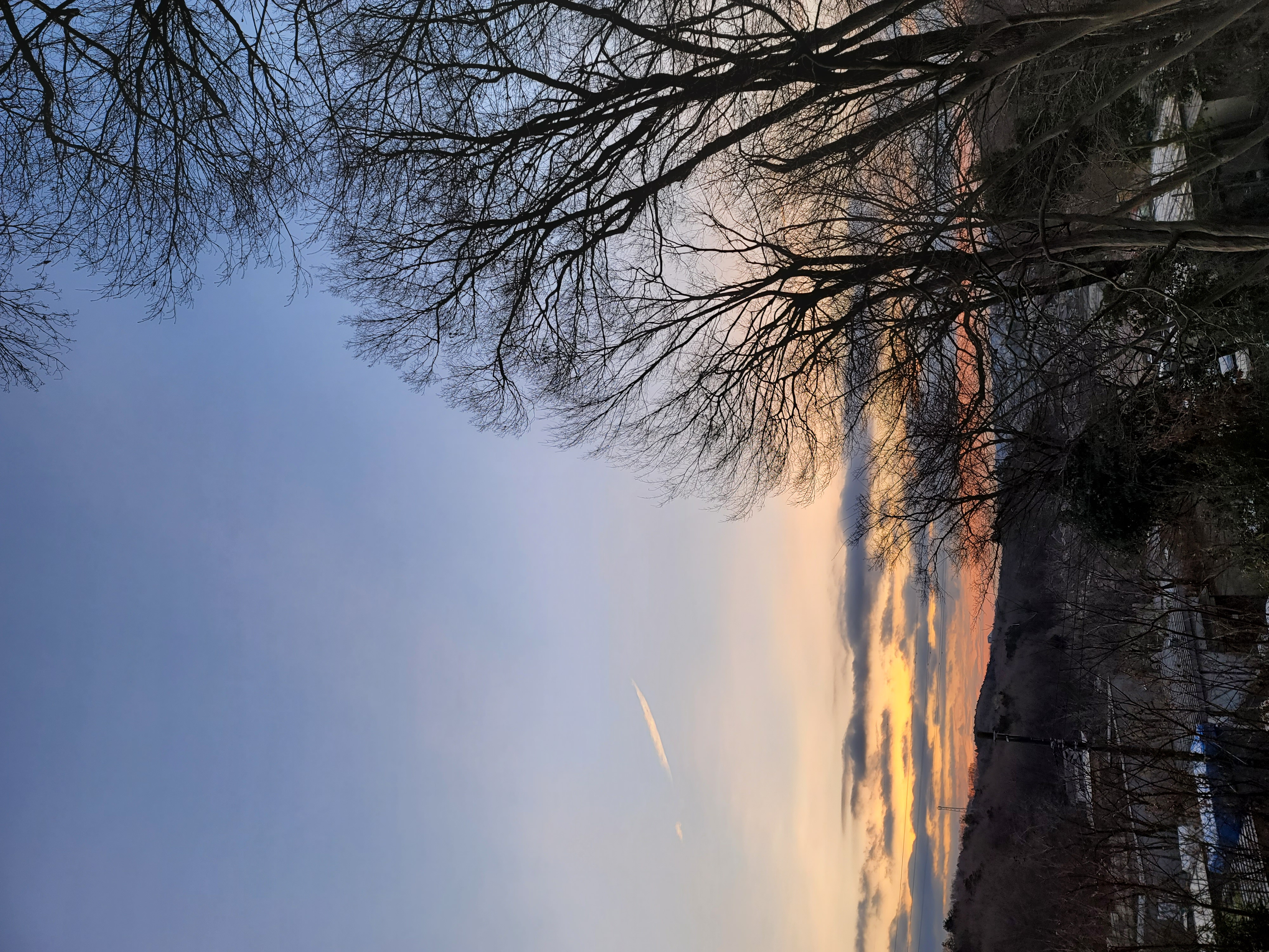 背景画像