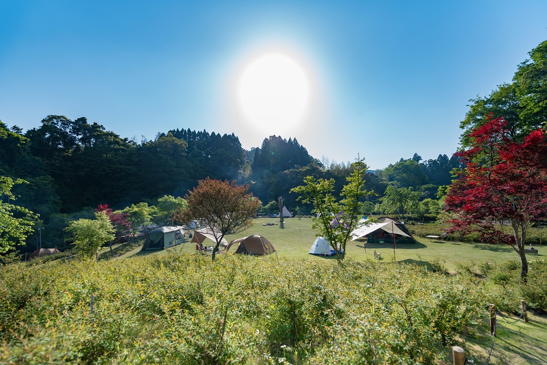 背景画像